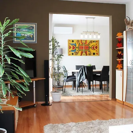 Sunny Day * 포마리