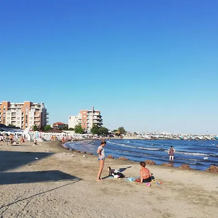 Apartment Sunny Day *